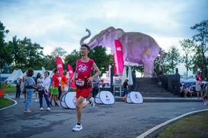 BIB: 
                            <button type="button" onclick="openModal(26551720)" class="btn btn-primary btn-sm float-right btn-popup" data-toggle="modal" data-target=".modal-high-quality">
                        <i class="fas fa-shopping-cart"></i> Add to Cart
                    </button>
                                            <button type="button" onclick="isThisMe(26551720, true)" class="btn btn-success btn-sm float-right btn-popup btn-isme hidden" data-toggle="tooltip" data-placement="bottom" title="นี่คือรูปของคุณใช่ไหม คลิกที่นี่เพื่อเอาเข้าอัลบั้ม">
                        <i class="fas fa-plus"></i> Add to album
                    </button>
                    <button type="button" onclick="isThisMe(26551720, false)" class="btn btn-warning btn-sm float-right btn-popup btn-isnotme hidden">
                        <i class="fas fa-ban"></i> Remove from album
                    </button>